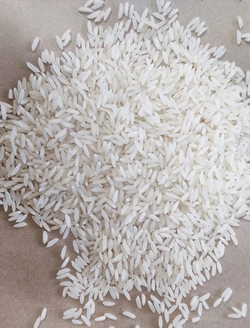 Kolam Rice
