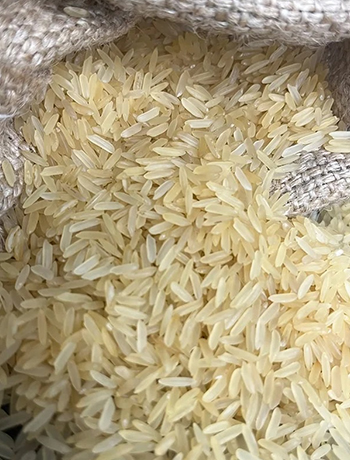 Non Basmati Rise
